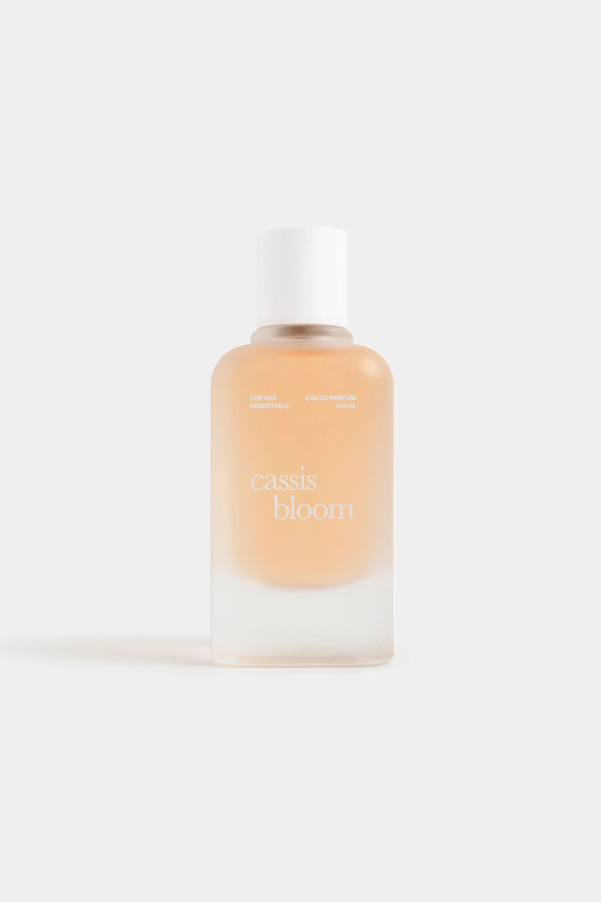 Cassic Bloom