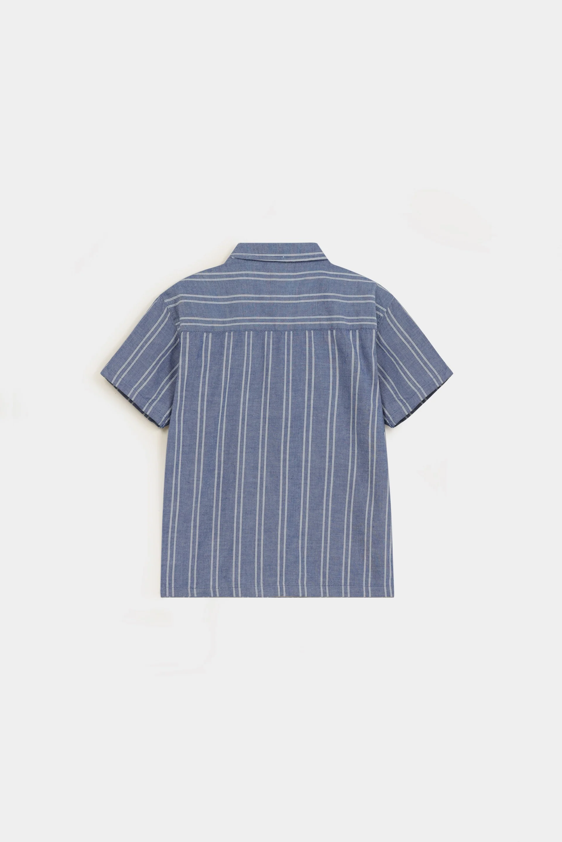 Striped Shirt 8 Striped Shirt